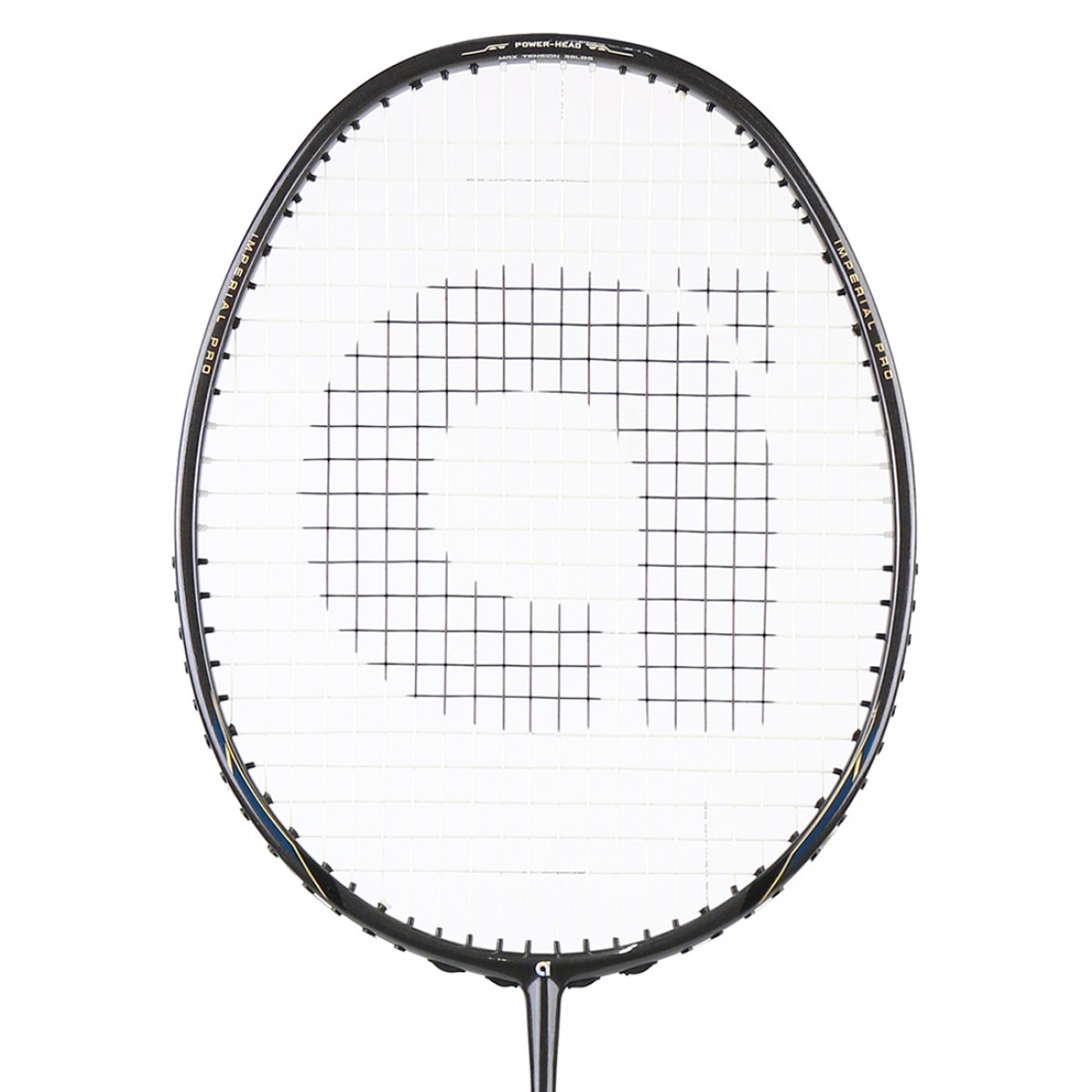 AIMPPRO (head)-1200x1200